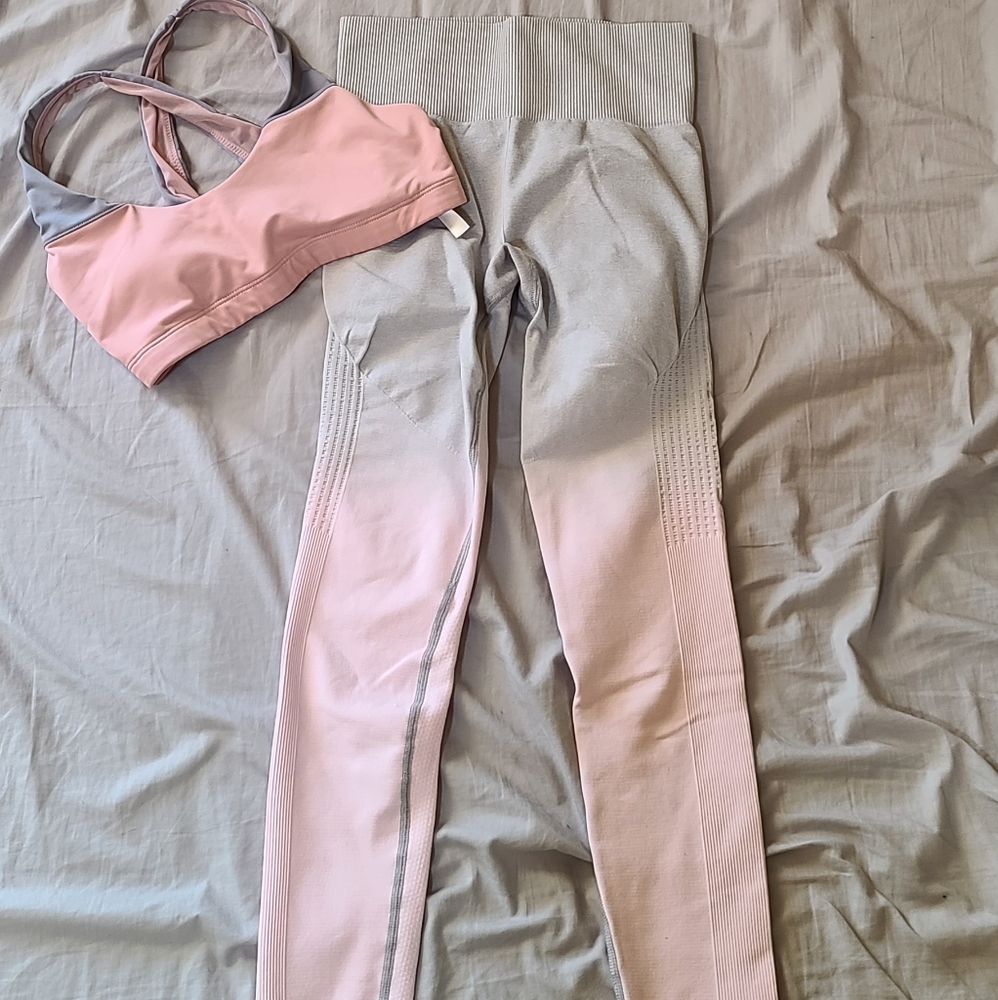 Ombre Pink Seamless Leggings